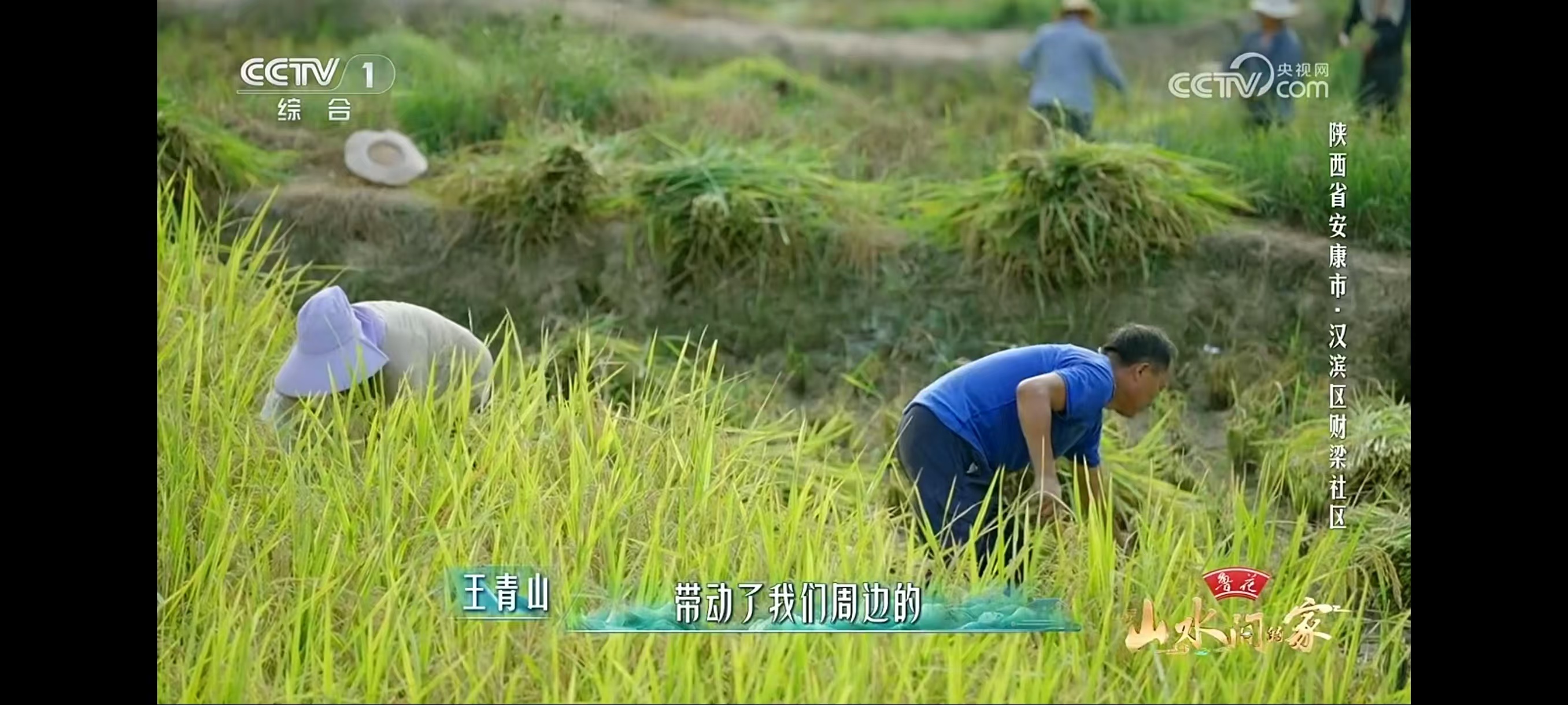 webview2.1.1，开源 电视，永久使用支持 TV！ 【来源：赤道365论坛】 帖子ID:62161 开源的webui,开源webdav